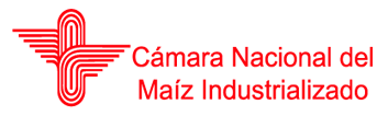CANAMI Logo